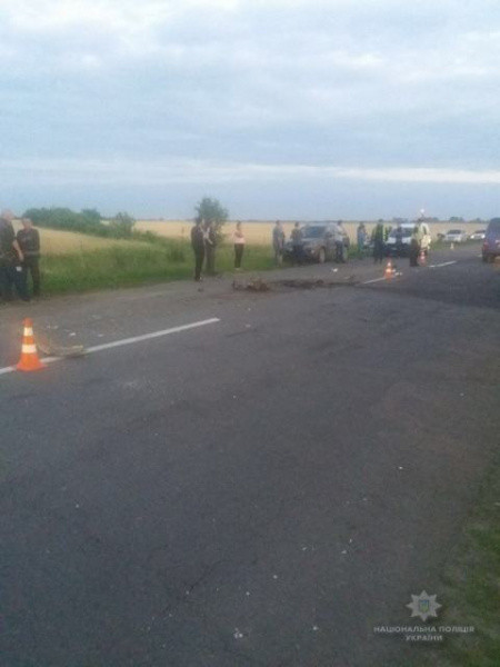 Смертельне ДТП на Львівщині: автомобіль зіткнувся з пасажирським автобусом